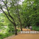 문경새재황토민박 | 문경새재 맨발걷기 코스 맨발 페스티벌