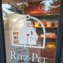 계양경기장 벨로드롬 | [계양 애견카페] 장군이랑 다녀온 리츠펫 후기 🐾