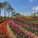 평택시 농업생태원 방문자센터 이미지