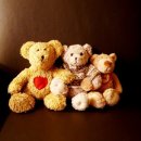 연세필정형외과의원 이미지