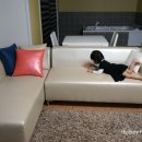 쏠미라벨 이미지
