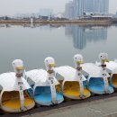 덕일축산 이미지