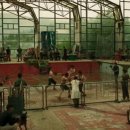 신화와 오늘 이미지