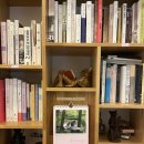 혜화마을 북카페 이미지