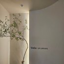 설성로 2 이미지