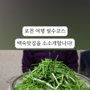 명덕잣나무집 이미지