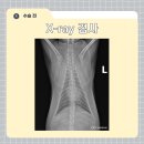 조양래 동물의료센터 이미지