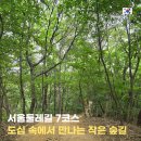 명일근린공원(중앙하이츠 뒷산) | 서울둘레길 7코스 일자산코스 정보 난이도 준비물