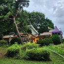 박달주유소 이미지