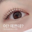 누니래쉬 이미지
