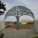 대정초등학교 Daum카페