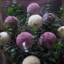 명란황태찜 이미지