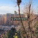 압구정-118 이미지