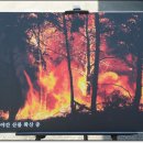 한국산림아카데미 총동문회, 산불방지 캠페인 동참 이미지