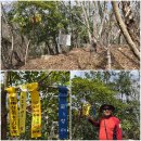 장평개발 | 경남 남해 문학의 섬 노도(櫓島) 섬산행 및 장평소류지, 보물섬식물원 탐방