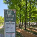 은빛 | 전주가볼만한곳 5월 전주정원산업박람회에서 초록으로 쉬어가기