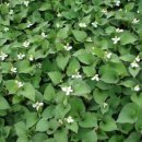 다솜한의원 이미지