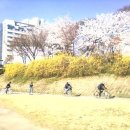 탄천 이미지