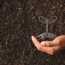 희망농장 이미지