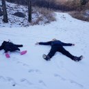 용인힐링캠핑장 이미지