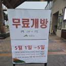 세종DM | [세종시] 국립세종수목원 야간개장 후기 :: 26.5.5 까지 무료 개방, 또와도 좋을 곳!