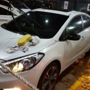 동백워시존 이미지