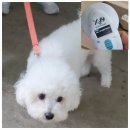 후사경로당 이미지