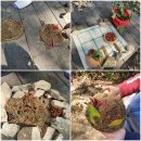 초롱이 밥상 이미지