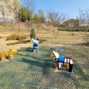 KTX 서대구역 이미지