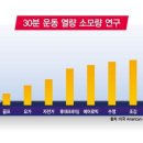 히트앤핏 당산점 이미지
