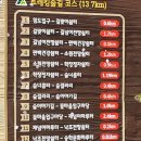 수정4동체육공원 | 수정-엄광-구덕-승학산 유턴 원점회기 산행