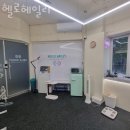 헬로헤일리 이미지