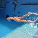 종합스포츠센터 | 성남종합스포츠센터 프리다이빙 후기 수영 못하는데 도전한 썰 푼다