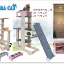 케이펫페어 CFA 캣쇼 &amp; 벼룩시장 후기 공모 및 현장 스케치