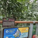 거제식물원 이미지