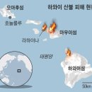 바다의왕국 이미지