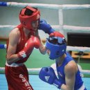 고트 복싱 이미지