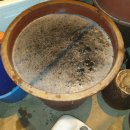 이가네농장 이미지