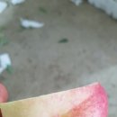 영광농장 이미지