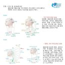 리사이드