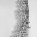 번개목장 이미지