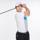 PGA(271) 이미지
