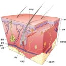 아나덴 슈가링왁싱 수원호매실점 이미지