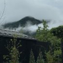 조차 스테이 이미지