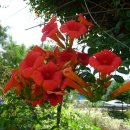 양서체육공원 이미지