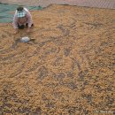 오미골...계절의 깊은 곳으로........ 이미지