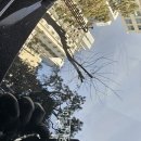 구리자동차공업사 | 구리 유리복원 당일 시공 자동차 앞유리 스톤칩 복원 가격 후기