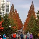 주엽공원 이미지