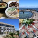 카페 청굴물 제주 동쪽 가볼만한곳 <b>청굴물</b> 픽업<b>카페</b> 팝업 여름 인기 맛집 투어