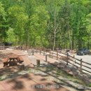 무릉도원면-18 이미지